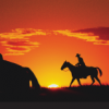 Masking Unit - Western Sunset